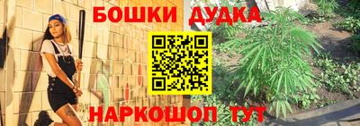 молекула духа Камышлов