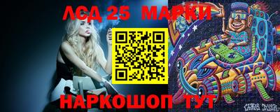 молекула духа Камышлов