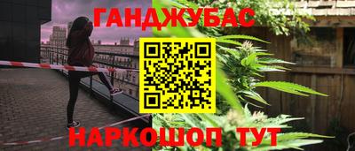молекула духа Камышлов