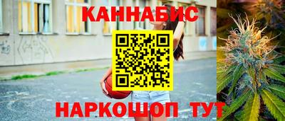 молекула духа Камышлов