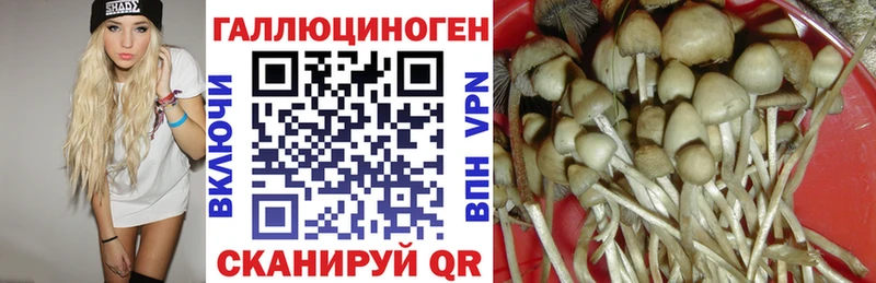 Псилоцибиновые грибы мухоморы  ссылка на мегу онион  Искитим  закладки 